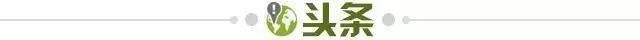 1945a90d-37e1-4707-bac3-f19f8c1b86e2.jpg@!img01